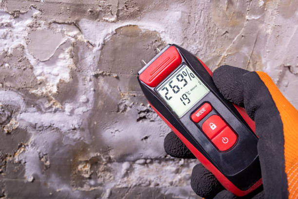 Best Black Mold Removal  in Huber Ridge, OH