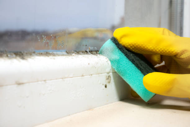 Best Water Damage Restoration  in Huber Ridge, OH