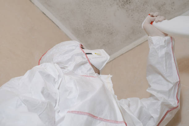 Best Mold Testing  in Huber Ridge, OH