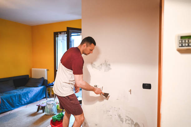 Best Emergency Mold Removal  in Huber Ridge, OH