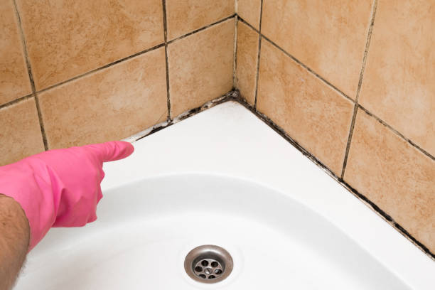 Best Mold Cleaning Services  in Huber Ridge, OH